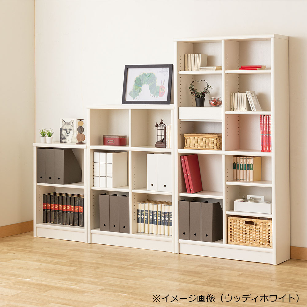 小島工芸　書棚「Nアコード 105L」幅106.3cm ロータイプ 全4色