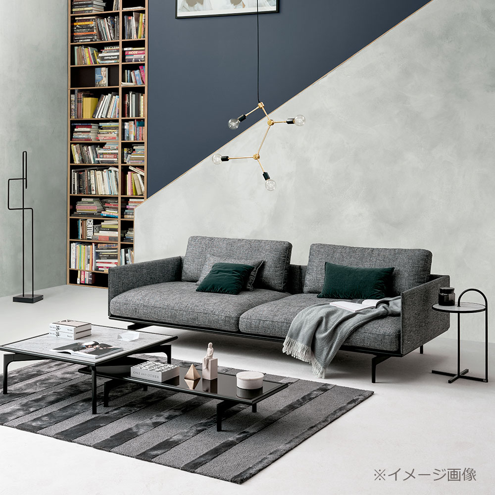 ROLF BENZ（ロルフベンツ）ソファ「LIV リブ」幅214cm 布#17.047 グラファイトグレー色