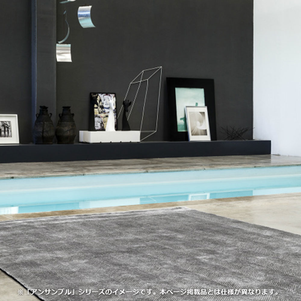 ラグ「ENSEMBLE BENU アンサンブル ビニュー 80771 145」幅140 x 奥行200cm 防炎【受注生産品】FISCHBACHER 1819（フィッシュバッハ 1819）