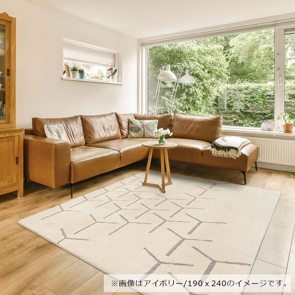 アクセントラグ「スコープ」全3色 全3サイズ【ハウスダスト対策 抗菌 消臭】