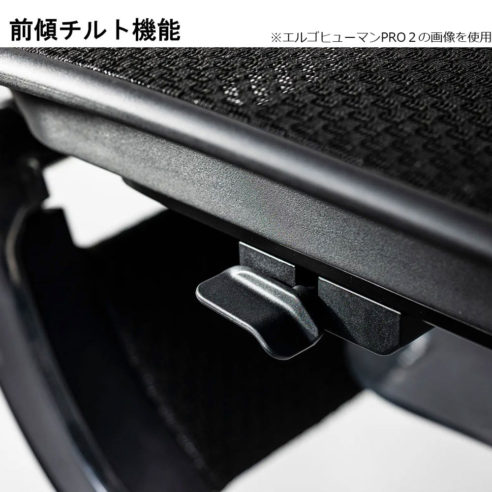 Ergohuman(エルゴヒューマン)「エンジョイ2 DC EJ2-LAM」フレーム全2色 張地全5色