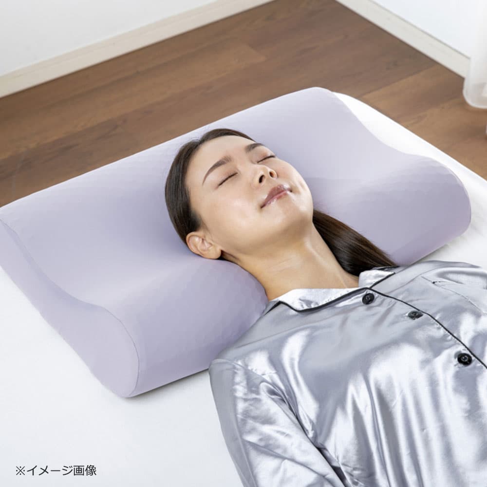 枕「ズカンピロー」FranceBed（フランスベッド）