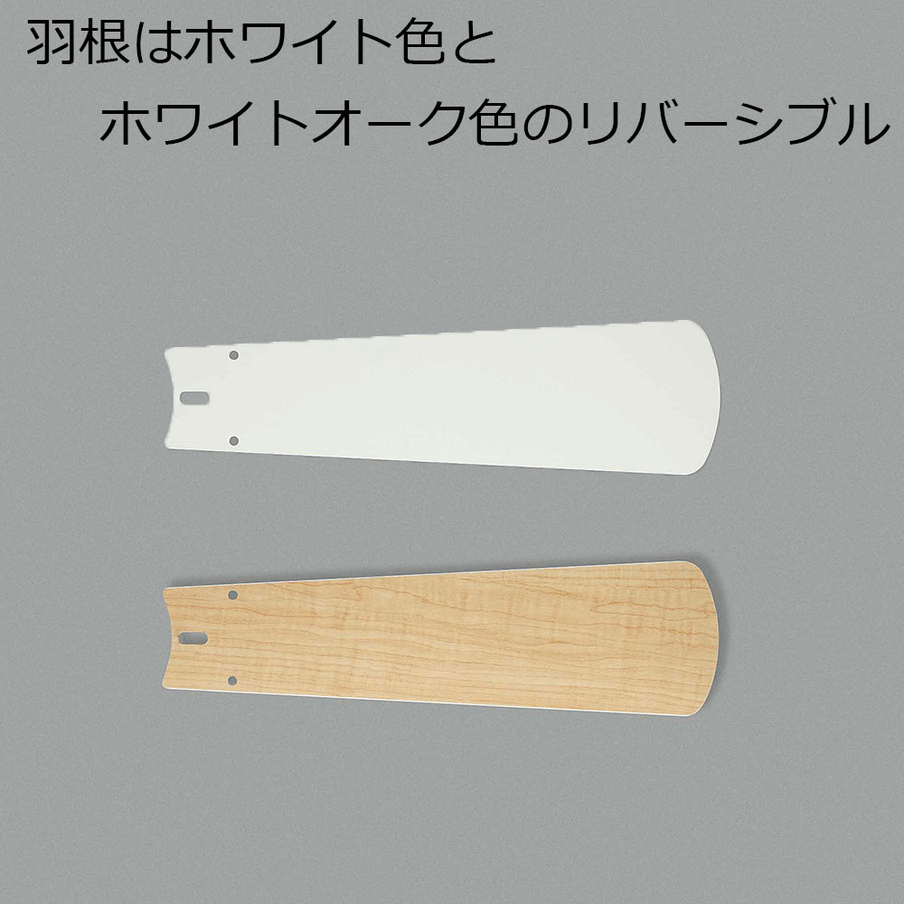 LEDシーリングファン「GAM41906L」約10畳用