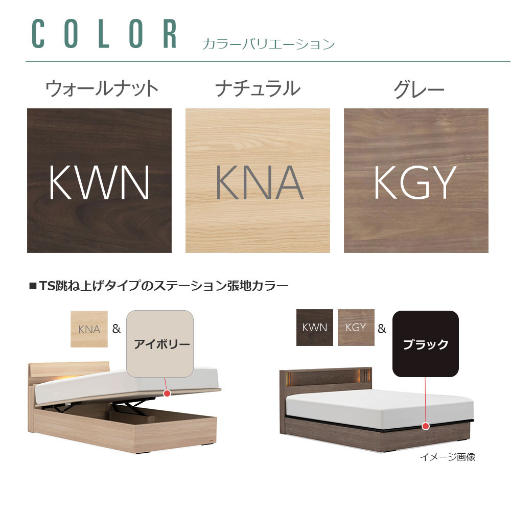 FranceBed（フランスベッド）ベッドフレーム「ファディア FAD-C3 TS」コンセント付き 縦跳ね上げ収納（ 床板面高2タイプ）全4サイズ 全3色