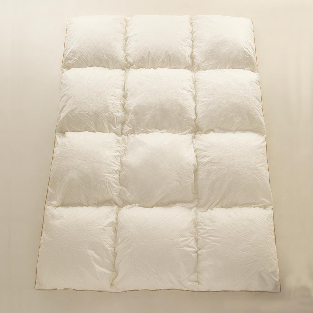 【まとめ買い特典 2枚ご購入で10%OFF】FranceBed（フランスベッド）羽毛布団「セレブレイト」2枚セット 全3サイズ サービスカバー付き
