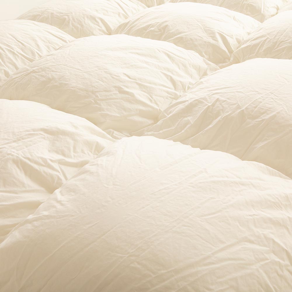 【まとめ買い特典 2枚ご購入で10%OFF】FranceBed（フランスベッド）羽毛布団「セレブレイト」2枚セット 全3サイズ サービスカバー付き