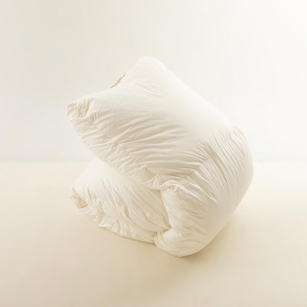 【まとめ買い特典 2枚ご購入で10%OFF】FranceBed（フランスベッド）羽毛布団「セレブレイト」2枚セット 全3サイズ サービスカバー付き
