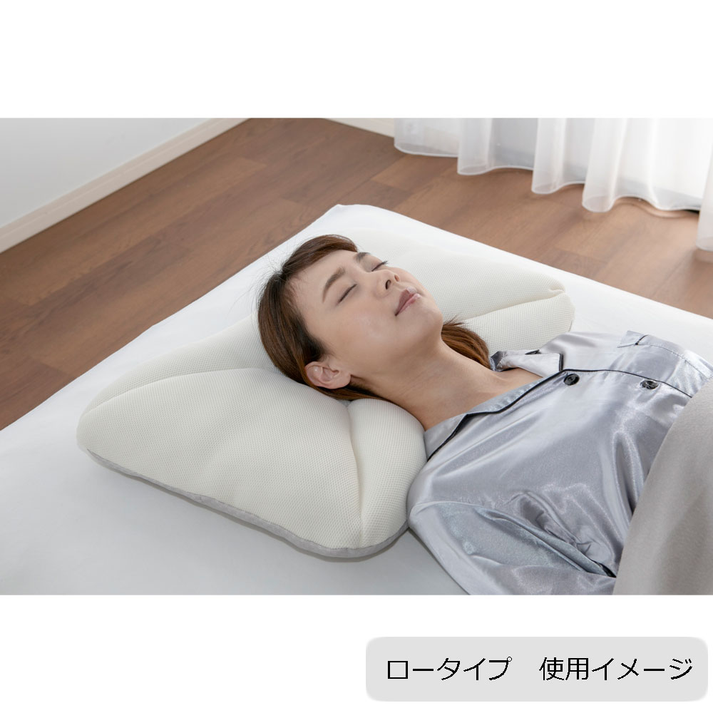 枕「ルナモンドピロー」 高さ全2タイプ FranceBed（フランスベッド）