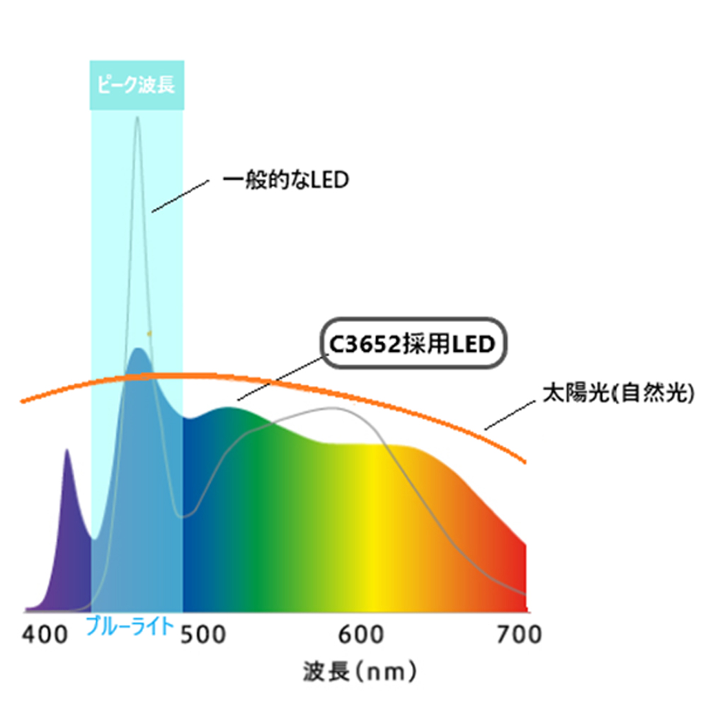 hotta woody（堀田木工所）LEDライト「C-3652D」全2色