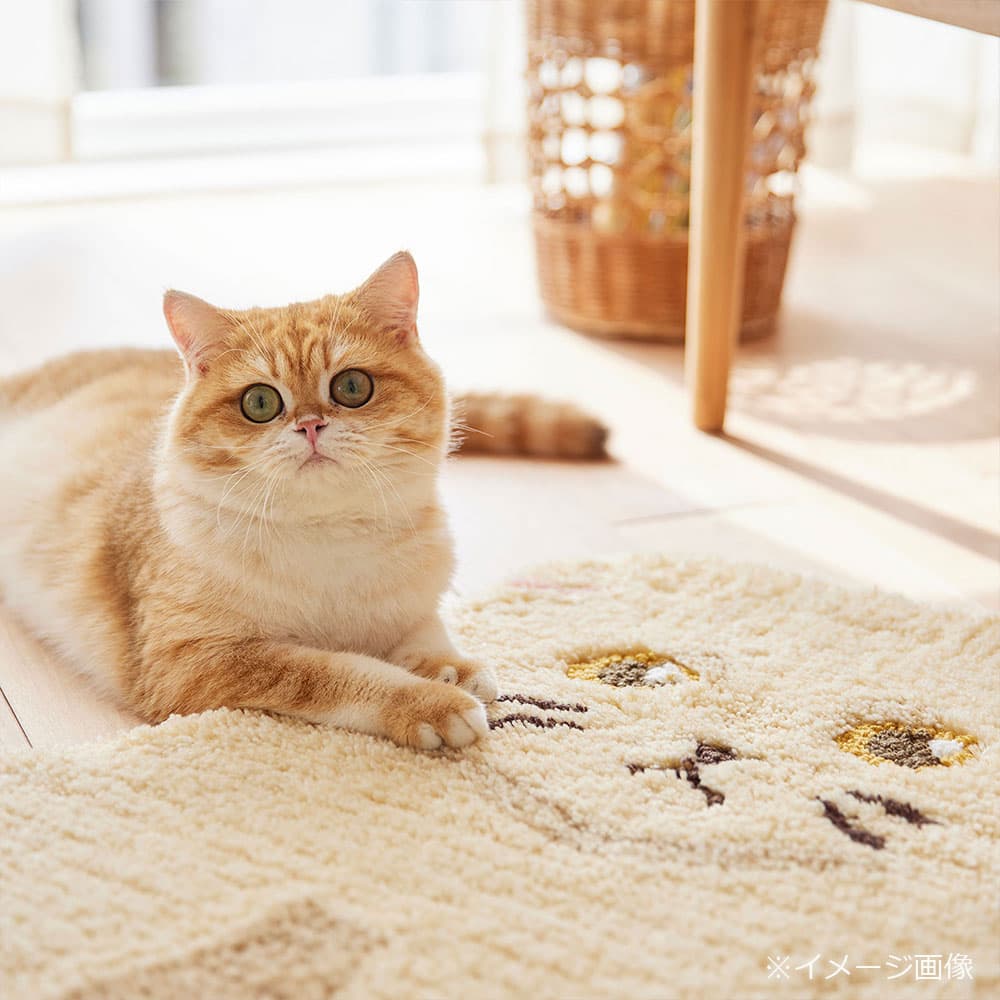 ラグ「スコスワリ」クリーム 72ｘ70cm