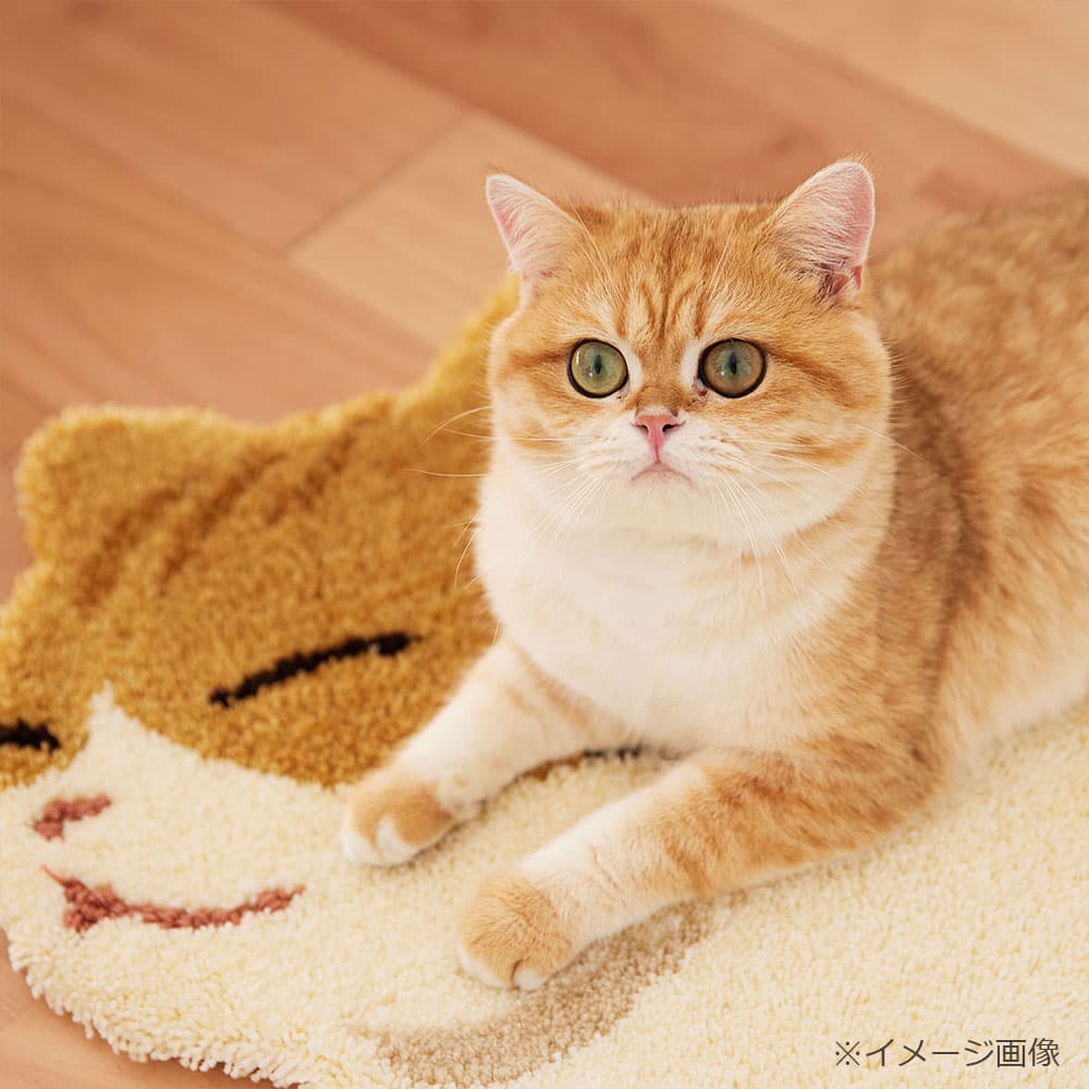 ラグ「コウバコスワリ」チャトラ 70ｘ60cm