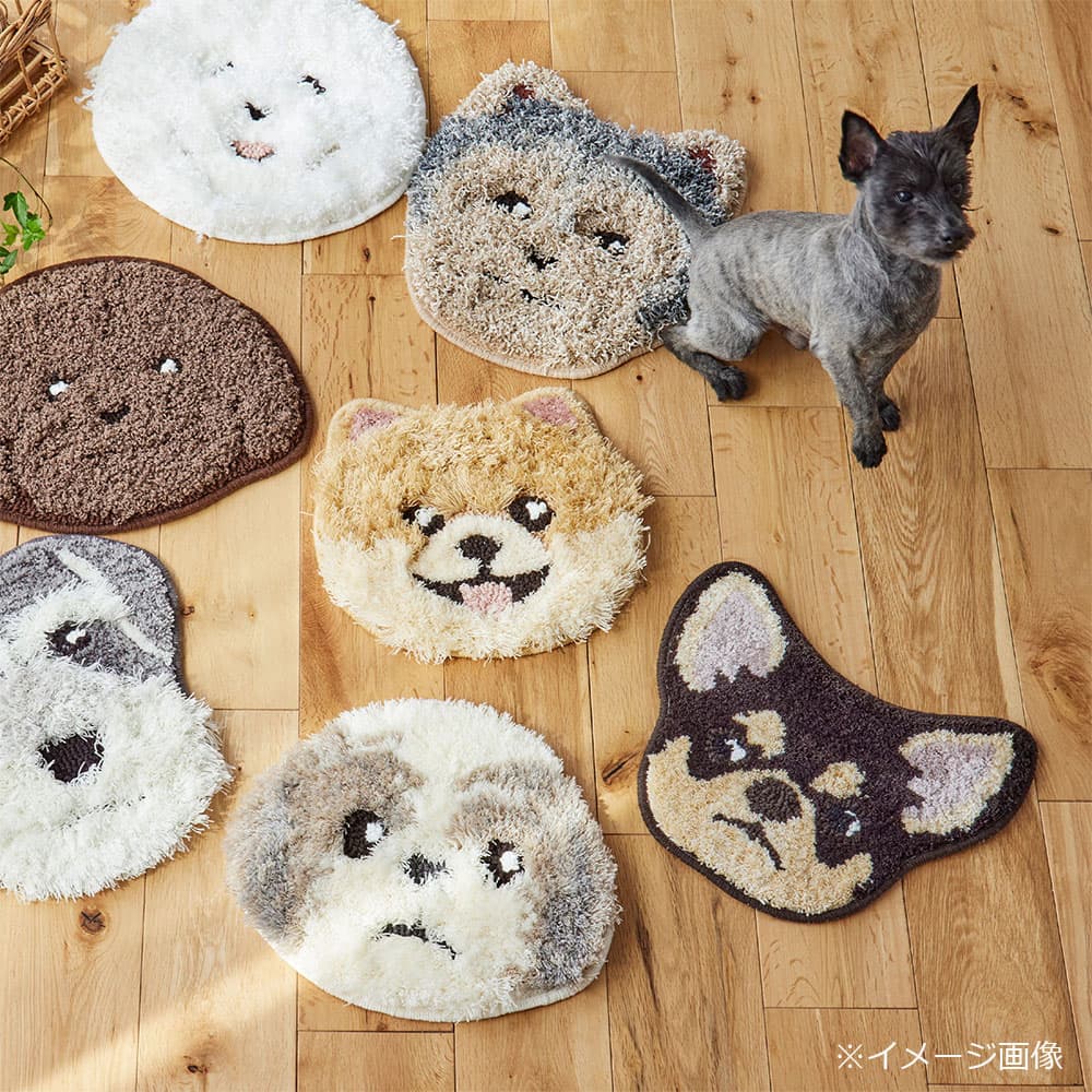 チェアパッド 「イヌカオ」＃50チワワ