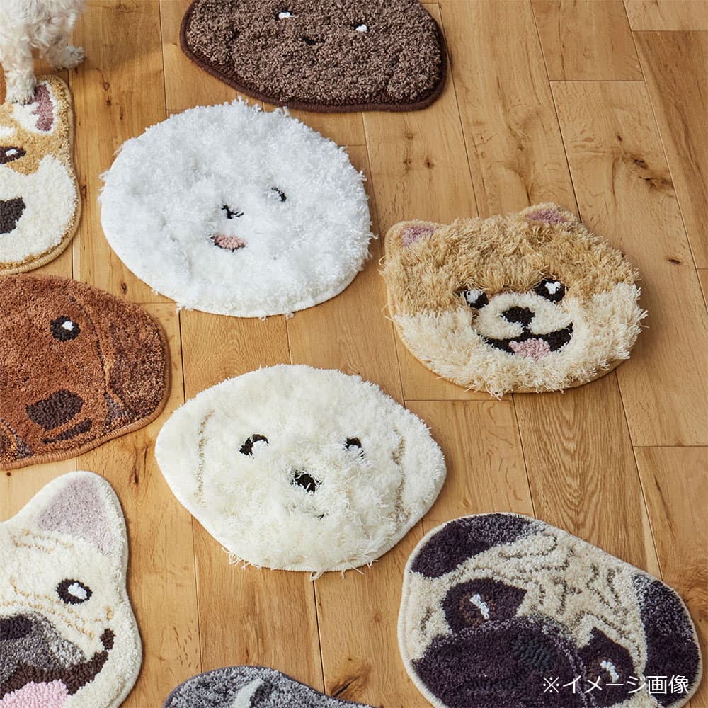 チェアパッド 「イヌカオ」＃53ポメ