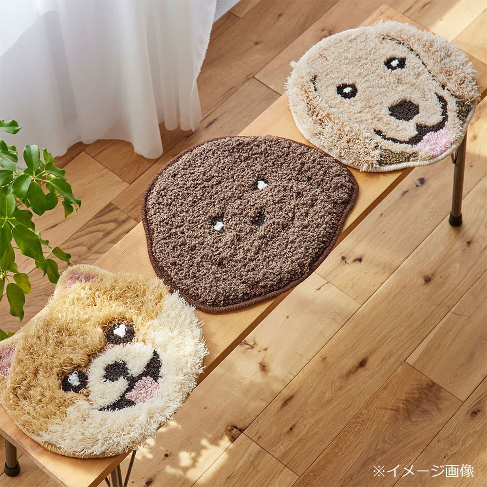 チェアパッド 「イヌカオ」＃61トイプー