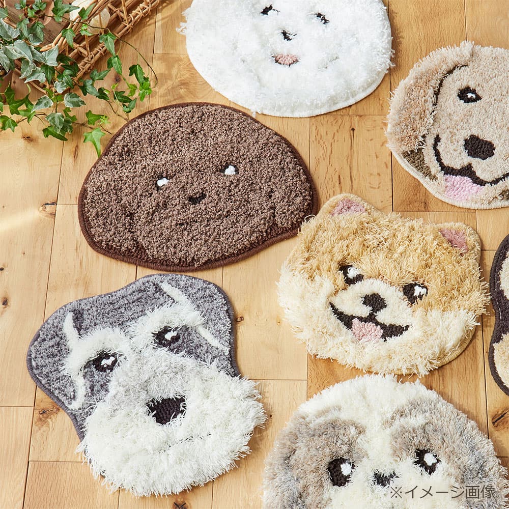 チェアパッド 「イヌカオ」＃61トイプー