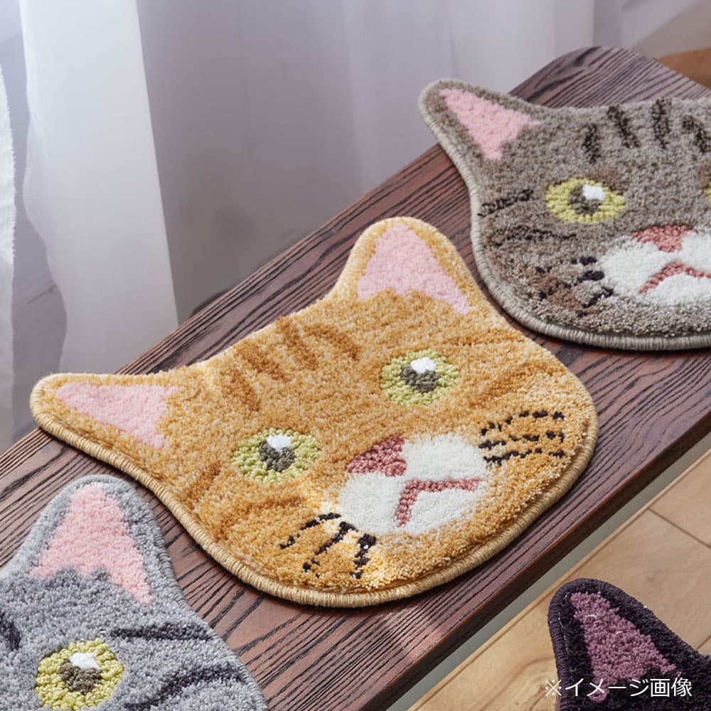 チェアパッド 「ネコカオ」＃46チャトラ