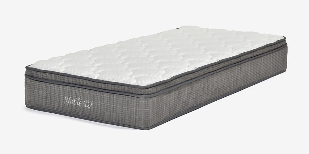 ノーブルDX 全体イメージ