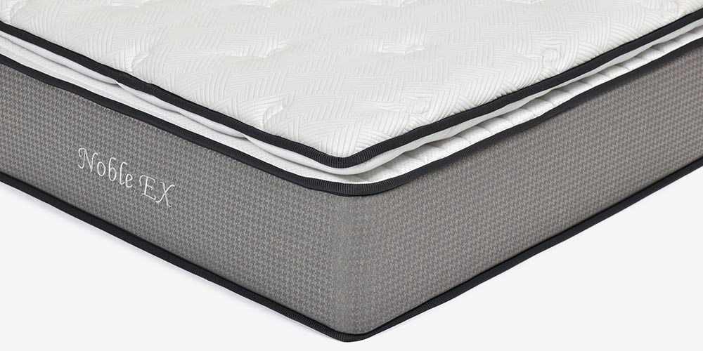 ノーブルEX 側面デザイン