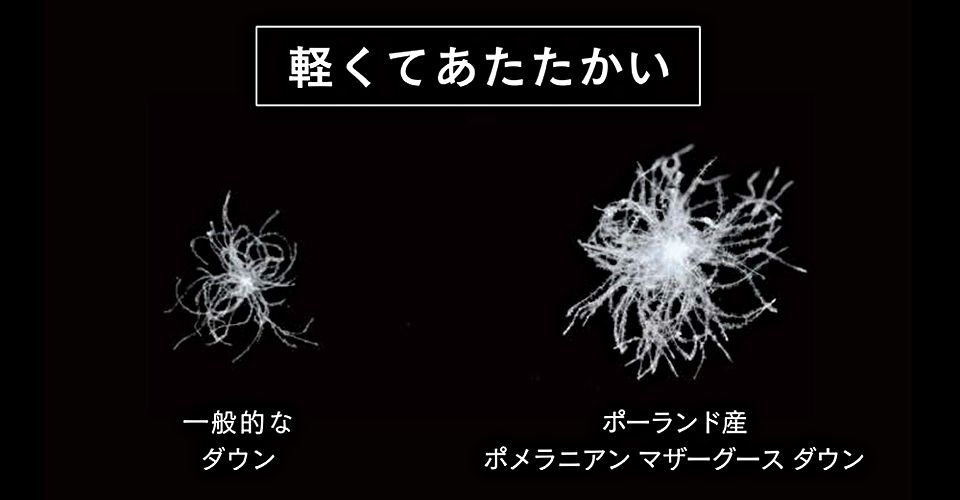 ダウンボールのサイズ比較