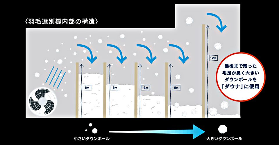 羽毛の選別方法