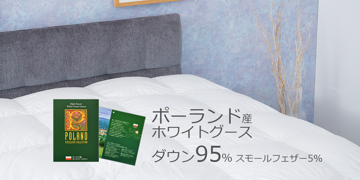 サイズ