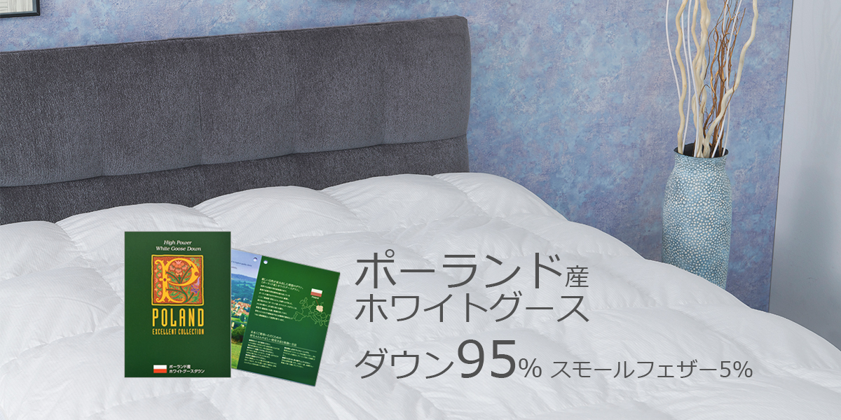 サイズ