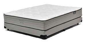 マットレス＆ボトムがお買い得